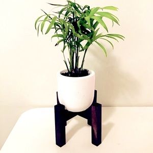 🌿🇨🇦 Mini White Concrete Planter + Wood Stand - Planter and Stand Omly